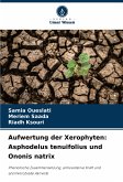 Aufwertung der Xerophyten: Asphodelus tenuifolius und Ononis natrix