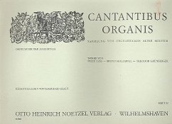 Cover Cantantibus organis Band 22 Orgelmusik der Augustiner