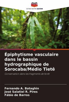 Épiphytisme vasculaire dans le bassin hydrographique de Sorocaba/Médio Tietê - Bataghin, Fernando A.;Pires, José Salatiel R.;Barros, Fábio de