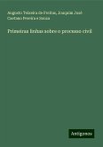 Primeiras linhas sobre o processo civil