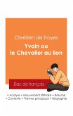 Réussir son Bac de français 2025 : Analyse du roman Yvain ou le Chevalier au lion de Chrétien de Troyes