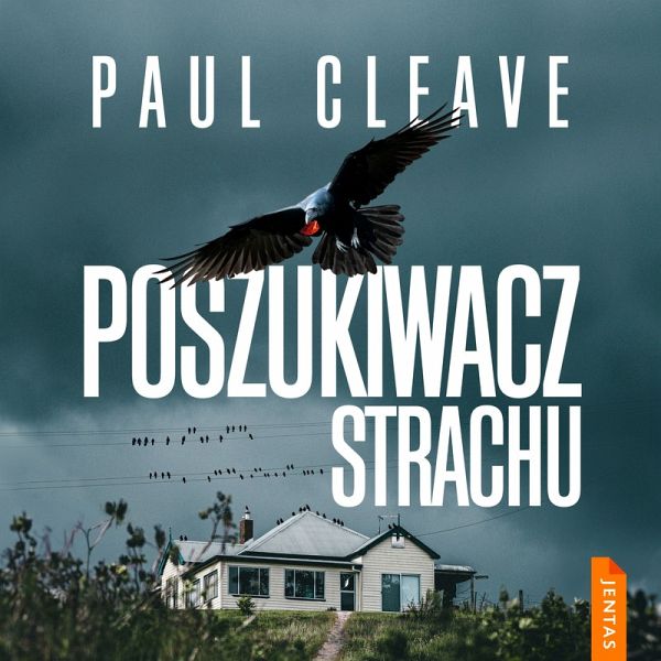 Poszukiwacz strachu (MP3-Download) Poszukiwacz strachu (MP3-Download)