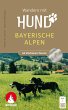 Wandern mit Hund Bayerische Alpen - Bild 1