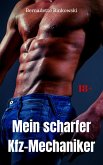 Mein scharfer Kfz-Mechaniker (eBook, ePUB)
