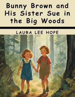 Bunny Brown and His Sister Sue in the Big Woods - Laura Lee Hope