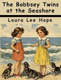 The Bobbsey Twins at the Seashore