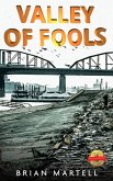 Valley of Fools (eBook, ePUB)