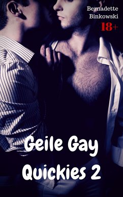 Geile Gay Quickies 2 (eBook, ePUB) - Binkowski, Bernadette