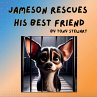 Jameson Rescues His Best Friend - Bild 1