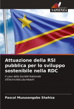 Attuazione della RSI pubblica per lo sviluppo sostenibile nella RDC - Muzusangabo Shahiza, Pascal