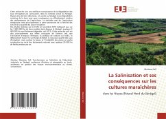 La Salinisation et ses conséquences sur les cultures maraîchères - Fall, Marieme