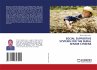 SOCIAL SUPPORTIVE SYSTEMS FOR THE RURAL... - Bild 1