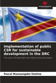 Implementation of public CSR for sustainable development in the DRC