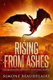 Rising from Ashes (eBook, ePUB)