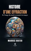 Histoire d&quote;une effraction (eBook, ePUB)