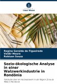 Sozio-ökologische Analyse in einer Walzwerkindustrie in Rondônia