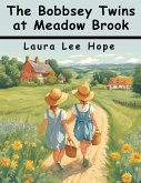 The Bobbsey Twins at Meadow Brook