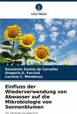 Einfluss der Wiederverwendung von Abwasser auf die Mikrobiologie von Sonnenblumen