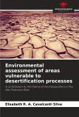Environmental assessment of areas vulnerable to desertification processes