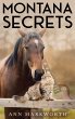 Montana Secrets - Bild 1