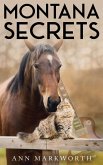 Montana Secrets