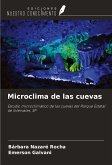 Microclima de las cuevas