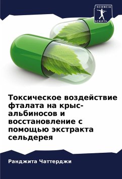 Toxicheskoe wozdejstwie ftalata na krys-al'binosow i wosstanowlenie s pomosch'ü äxtrakta sel'dereq - Chatterdzhi, Randzhita