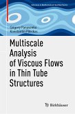 Multiscale Analysis of Viscous Flows in Thin Tube Structures (eBook, PDF)