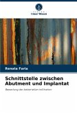 Schnittstelle zwischen Abutment und Implantat