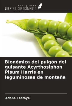 Bionómica del pulgón del guisante Acyrthosiphon Pisum Harris en leguminosas de montaña - Tesfaye, Adane