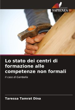 Lo stato dei centri di formazione alle competenze non formali - Tamrat Dina, Taressa