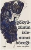 Gökyüzünün Izlenimci Böcegi