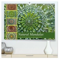 Natural Mandalas - Kraftvolle KI Mandalas aus Naturmaterialien (hochwertiger Premium Wandkalender 2025 DIN A2 quer), Kunstdruck in Hochglanz