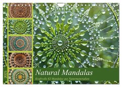 Natural Mandalas - Kraftvolle KI Mandalas aus Naturmaterialien (Wandkalender 2025 DIN A4 quer), CALVENDO Monatskalender