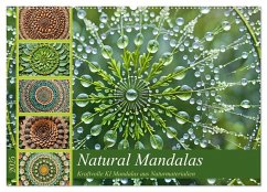 Natural Mandalas - Kraftvolle KI Mandalas aus Naturmaterialien (Wandkalender 2025 DIN A2 quer), CALVENDO Monatskalender