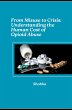 From Misuse to Crisis: Understanding... - Bild 1