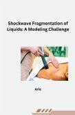 Shockwave Fragmentation of Liquids: A Modeling Challenge