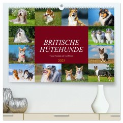 Britische Hütehunde - Treue Freunde auf vier Pfoten (hochwertiger Premium Wandkalender 2025 DIN A2 quer), Kunstdruck in Hochglanz