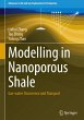 Modelling in Nanoporous Shale - Bild 1