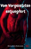 Vom Vorgesetzten entjungfert (eBook, ePUB)