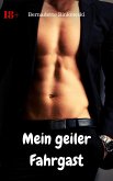 Mein geiler Fahrgast (eBook, ePUB)