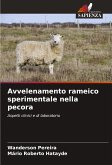 Avvelenamento rameico sperimentale nella pecora