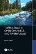 Turbulence in Open Channels and River... - Bild 1