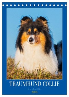 Traumhund Collie - Liebe auf vier Pfoten (Tischkalender 2025 DIN A5 hoch), CALVENDO Monatskalender - Calvendo;Starick, Sigrid