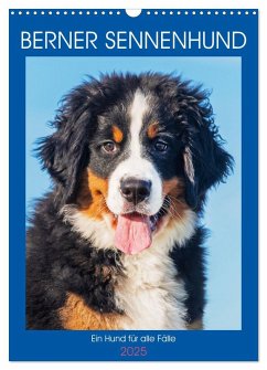 Berner Sennenhund - Ein Hund für alle Fälle (Wandkalender 2025 DIN A3 hoch), CALVENDO Monatskalender