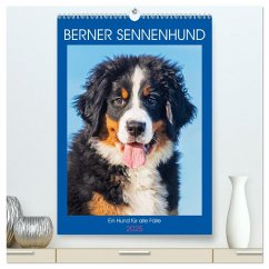 Berner Sennenhund - Ein Hund für alle Fälle (hochwertiger Premium Wandkalender 2025 DIN A2 hoch), Kunstdruck in Hochglanz - Calvendo;Starick, Sigrid