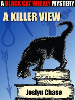 A Killer View (eBook, ePUB)