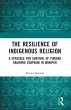 The Resilience of Indigenous Religion - Bild 1