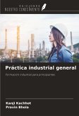 Práctica industrial general