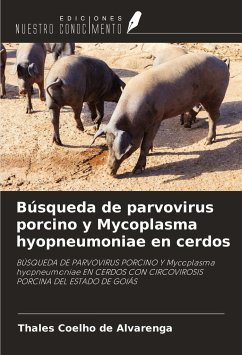 Búsqueda de parvovirus porcino y Mycoplasma hyopneumoniae en cerdos - Coelho de Alvarenga, Thales